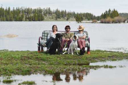 three-friends-two-dogs-one-futon-roadtrip-photos-16