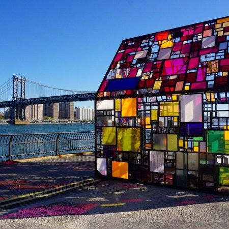 tomfruin20