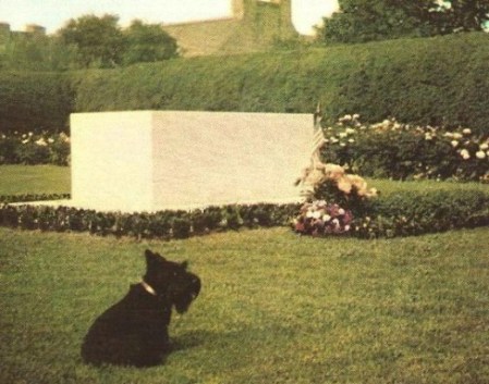 tumblr_lu7nsfQyw81qlqojoo1_500