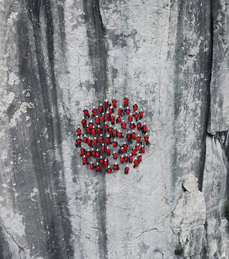 yfwnq3esb4r8fuqcphh3