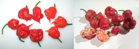peppers