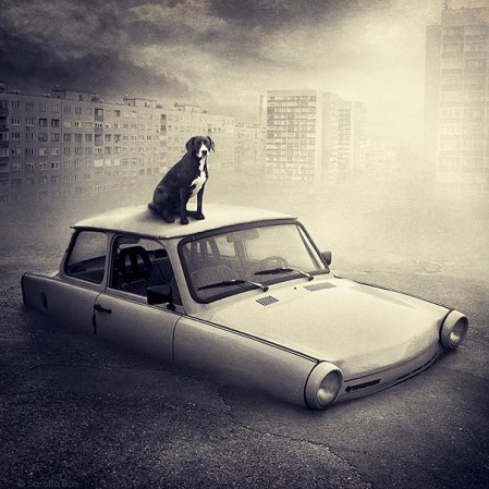 surreal-photoshop-images-shelter-animals-sarolta-ban-3