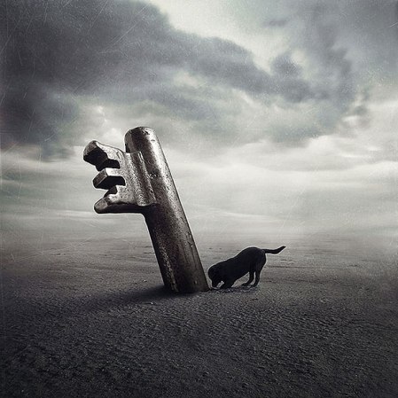 surreal-photoshop-images-shelter-animals-sarolta-ban-4