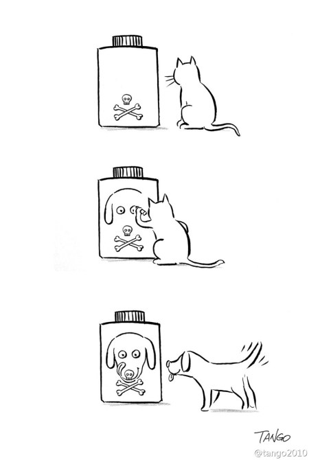 tumblr_n20xzrNweo1srl9lmo1_1280