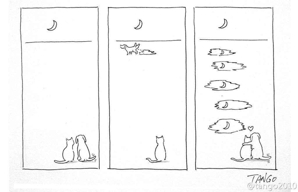 Τα ζώα με το πενάκι του&nbsp;Tango