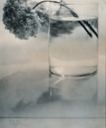 Νεκρή φύση, Ορτανσία, 1907, Βαρώνος Αντόλφ ντε Μεγιέρ (Adolph de Meyer). Ο ντε Μεγιέρ έκανε αργότερα καριέρα στη Νέα Υόρκη, στα περιοδικά Vogue και Vanity Fair. Ο διάσημος φωτογράφος Σέσιλ Μπίτον τον αποκαλούσε «Ντεμπισύ της φωτογραφίας». 