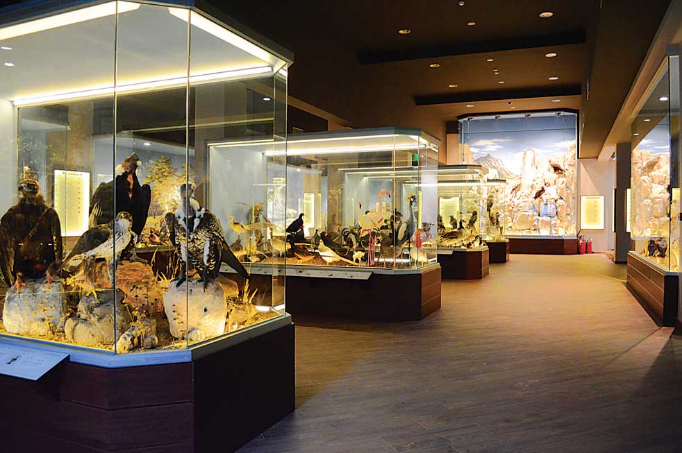 Μουσείο Φυσικής Ιστορίας Μετεώρων – Μουσείο&nbsp;Μανιταριών