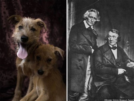 poetic-dogs-dan-bannino-6