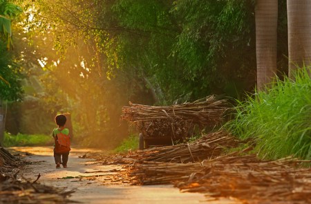 slide_391480_4765486_free