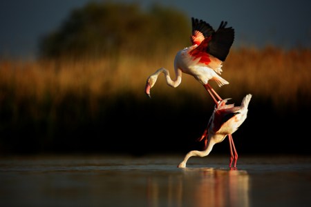 slide_391480_4765492_free