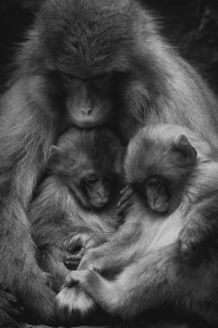 slide_391480_4765508_free