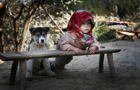 slide_391484_4765556_compressed