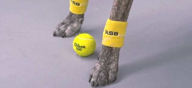 Τα καλύτερα ball boys του&nbsp;κόσμου