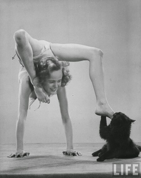 Blackie, Gjon Mili's Cat (13)