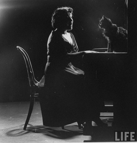 Blackie, Gjon Mili's Cat (14)