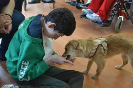 10422370_1566927210207239_7406293739513189019_n