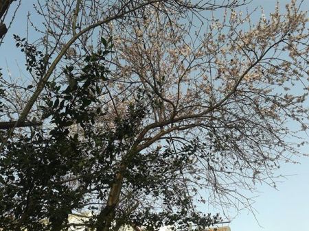 10959807_10152606243756053_3061481128817469168_n