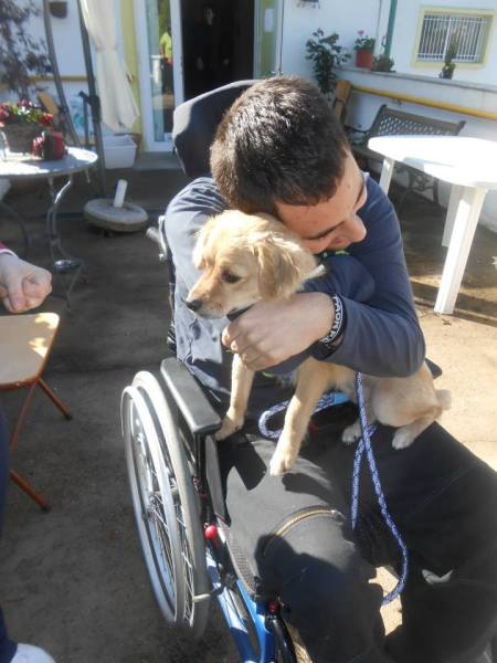 1517642_1598659377034022_2463969441303280509_n