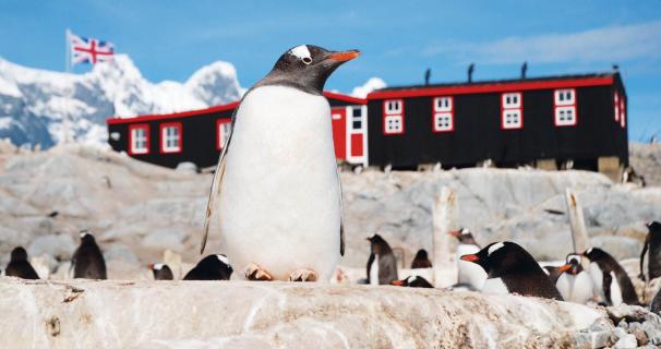 Το ταχυδρομείο των&nbsp;πιγκουίνων