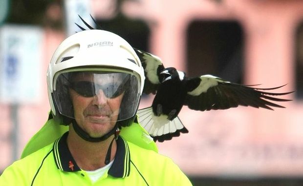 d129251a_fct661x407x131x19_t620