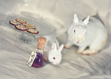 RT__2428_prova_3__880