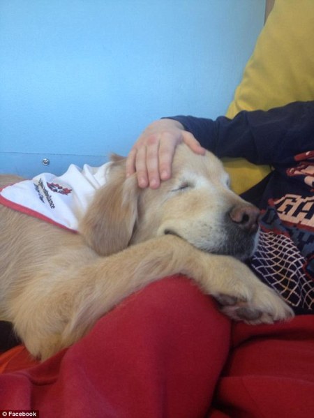 2684B14500000578-2988793-Precious_The_gorgeous_pup_from_Stouffville_Canada_was_adopted_fr-a-104_1426024703887