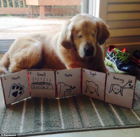 2684B15500000578-0-image-a-2_1426022713853