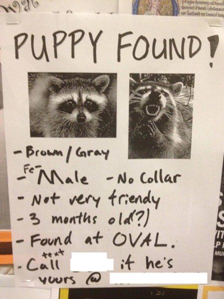 Funny-Lost-Pet-Signs-—-12