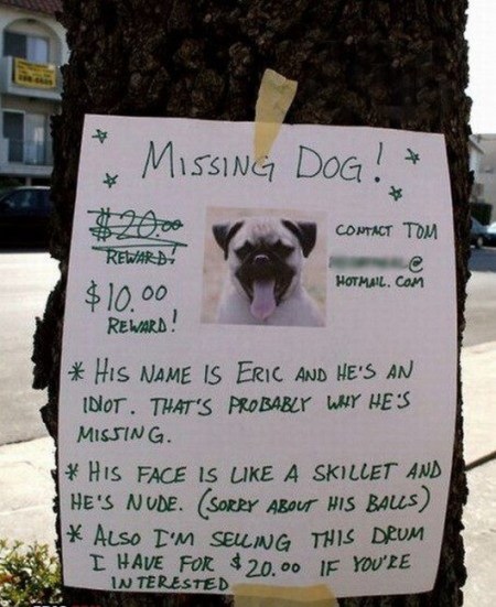 missing-dog-flyer