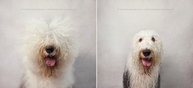 11154813_868081886594129_3554605306140642725_o