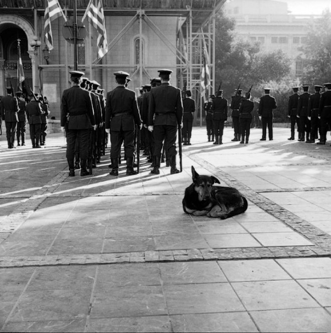 1916900_1457332590028_1246931_n