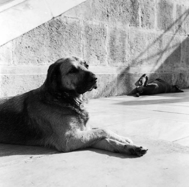 1916900_1457332630029_6056202_n