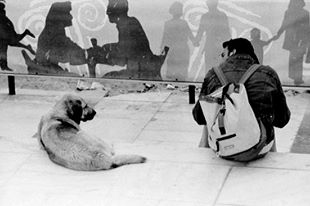 1916900_1457332670030_4322447_n