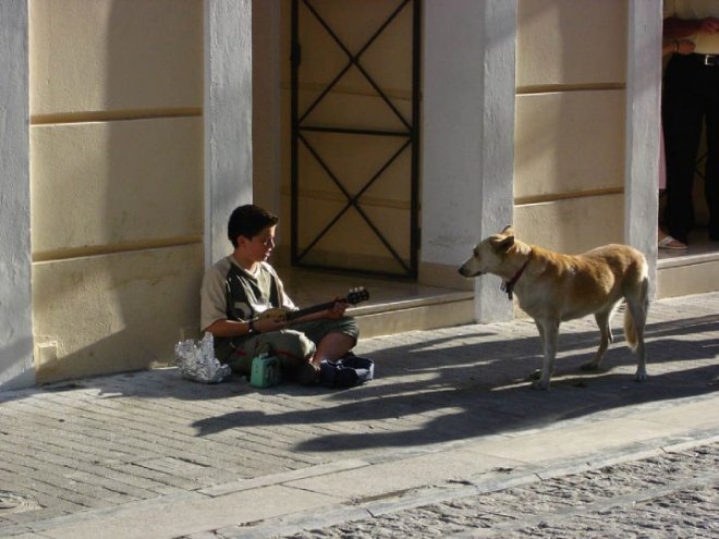 1916900_1457332750032_2708185_n