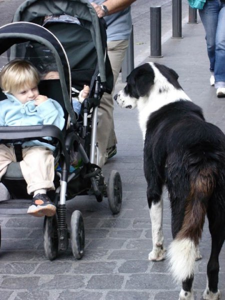 1916900_1457332830034_4627060_n