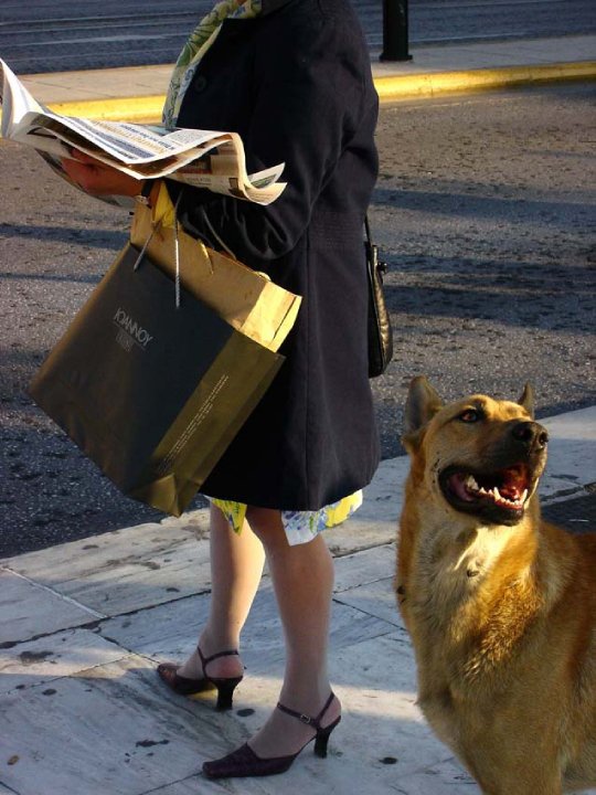 1916900_1457333030039_397111_n