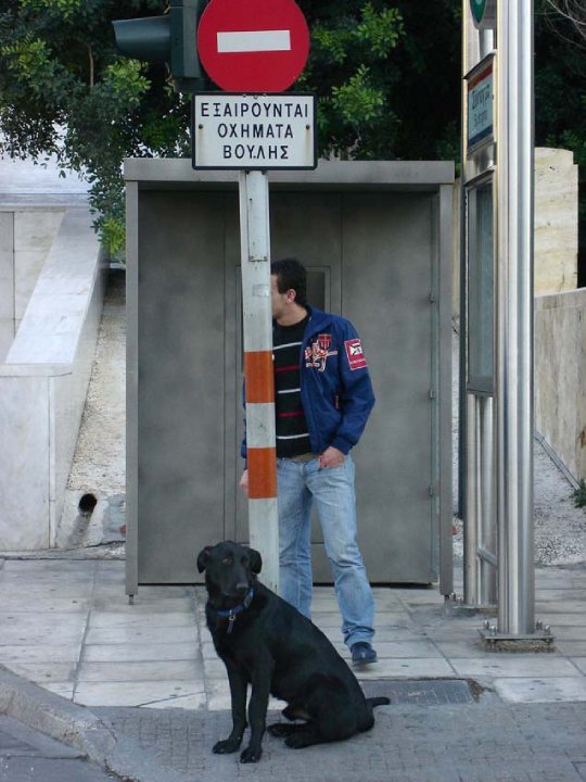 1916900_1457333070040_2631383_n