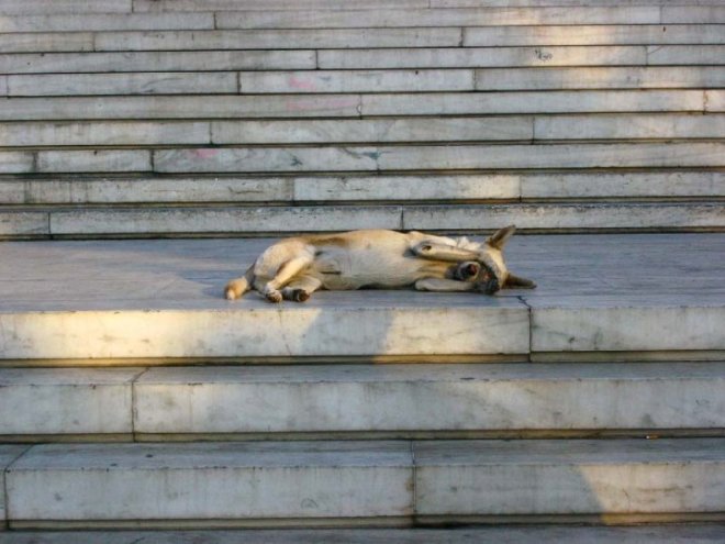 1916900_1457333150042_7719162_n