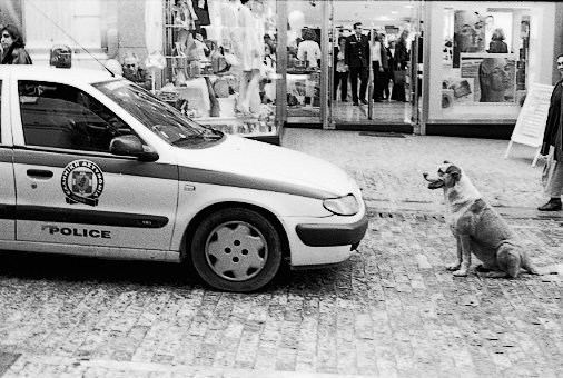 36350_1457331470000_1640715_n