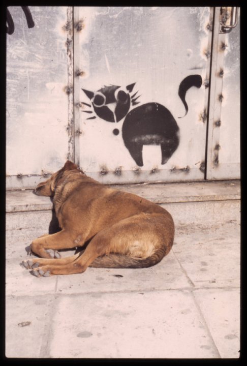 36350_1457331510001_7633008_n