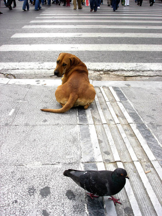 38280_1481285348832_2965778_n