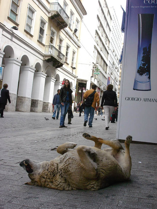 38280_1481285388833_6088820_n