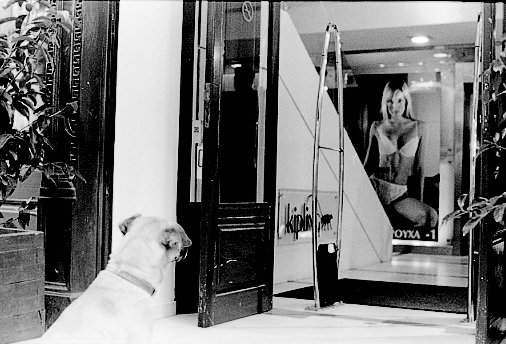 39242_1494814407050_4519047_n