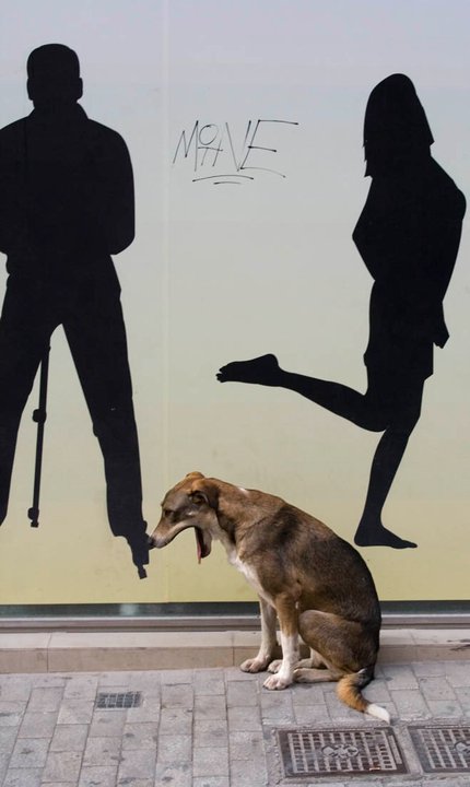 58760_1556570670918_1227003_n