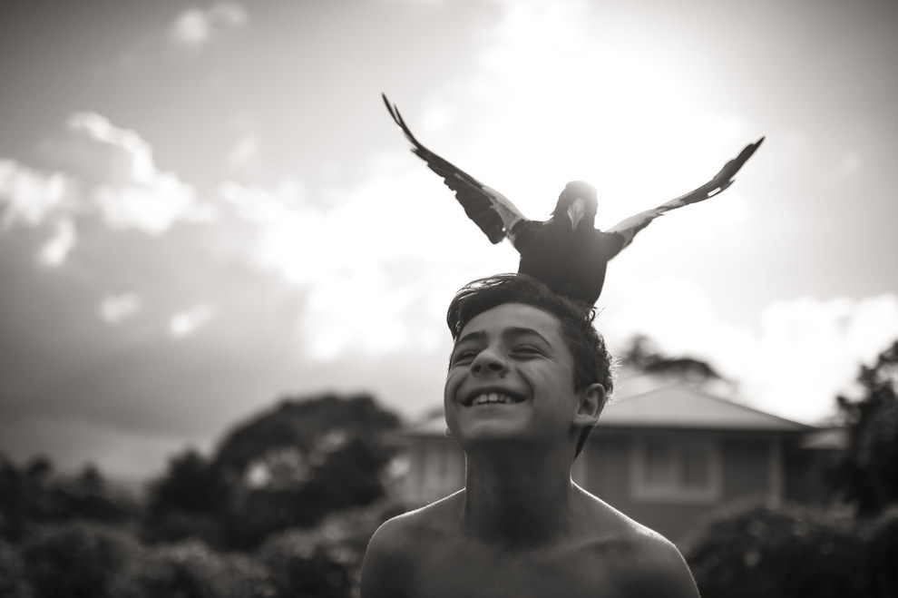 Η αγάπη έχει&nbsp;φτερά