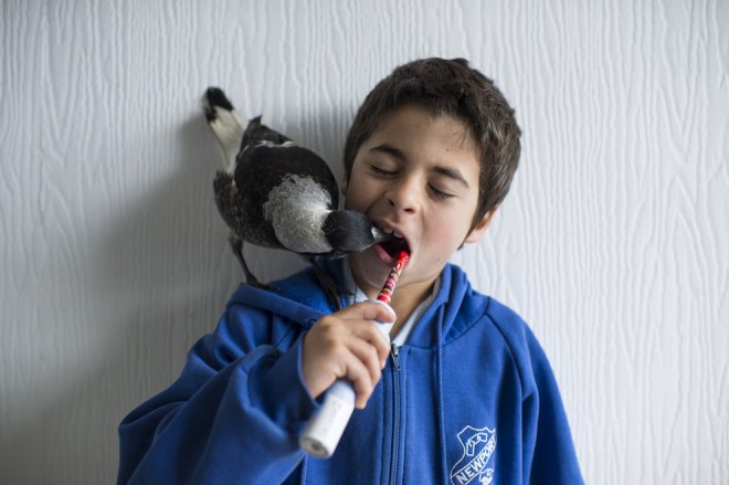 enhanced-buzz-wide-3472-1428948416-15