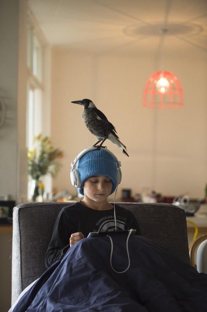 enhanced-buzz-wide-7688-1428948952-29