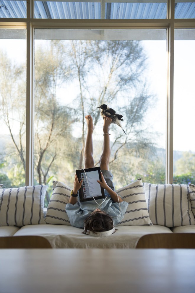 enhanced-buzz-wide-844-1428948436-9