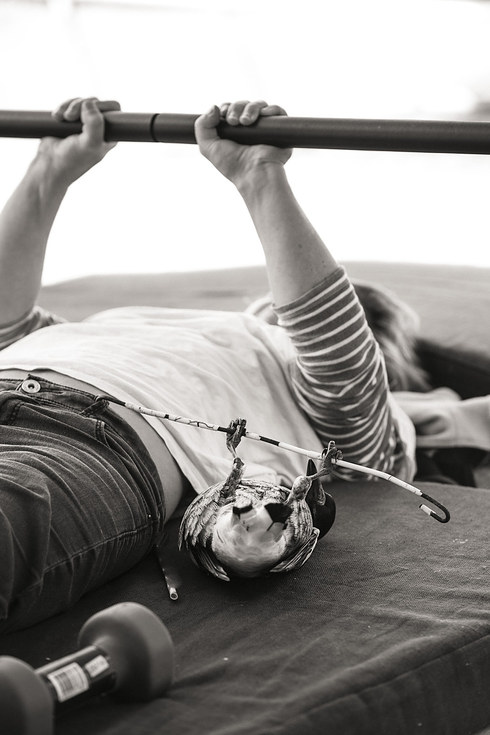 grid-cell-20530-1428949216-14