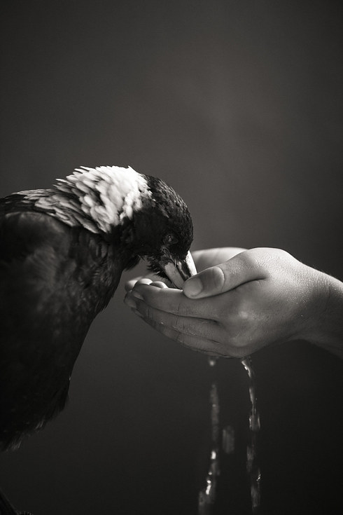 grid-cell-7028-1428949265-15